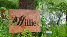 Hillier 300X164