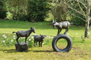 Sculpture At Beaulieu Suzie Marsh 3 Pygmy Goatsw870px H580px 600X400