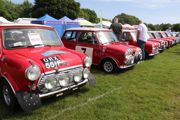 Mini Rally
