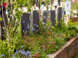 11Gardeners World Spring F