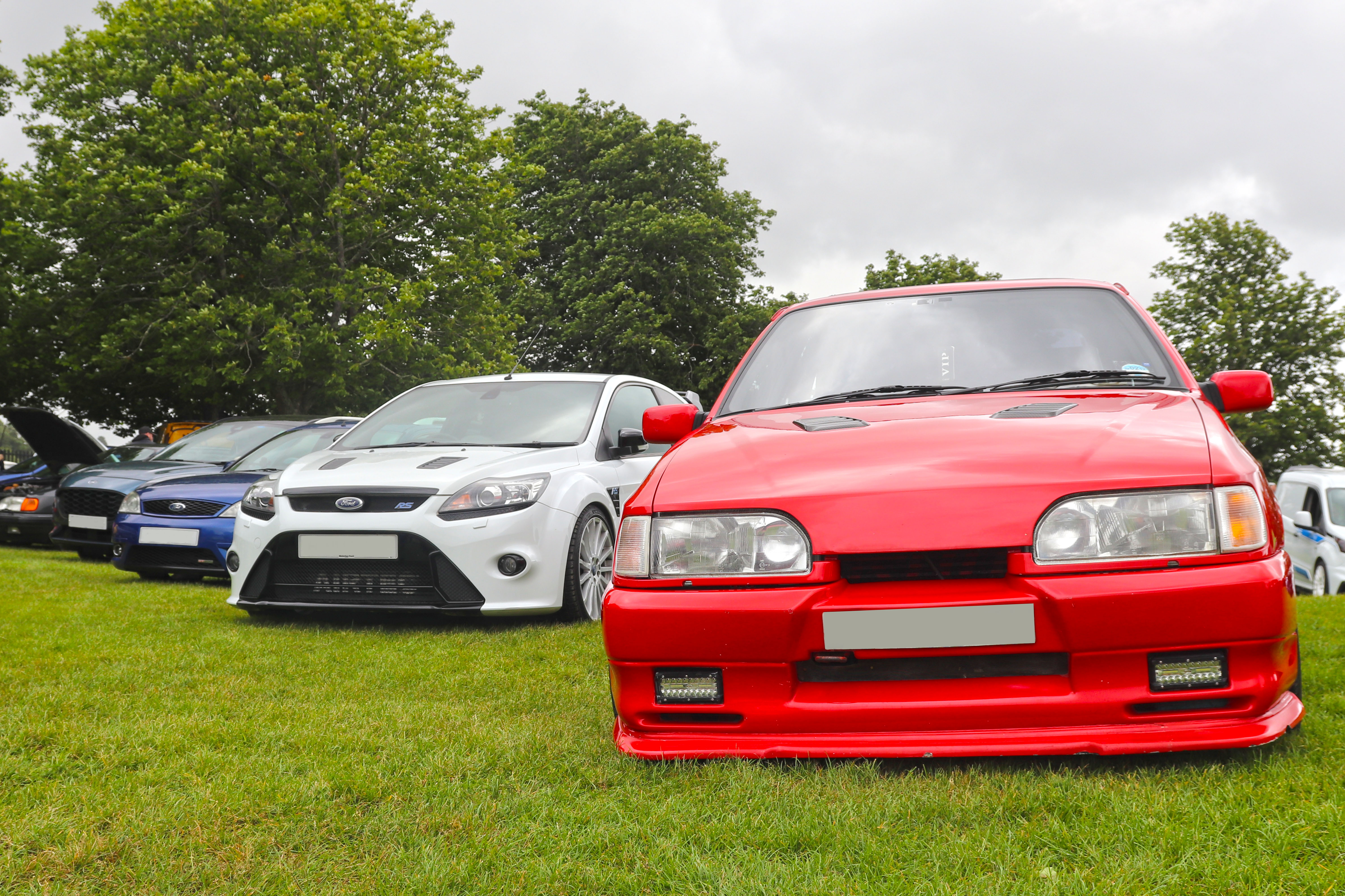 Fords On Display