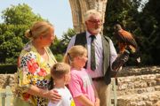Falconry At Beaulieu This Summer