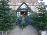 Desktop News Palace House Blog Christmas Tree Entrance
