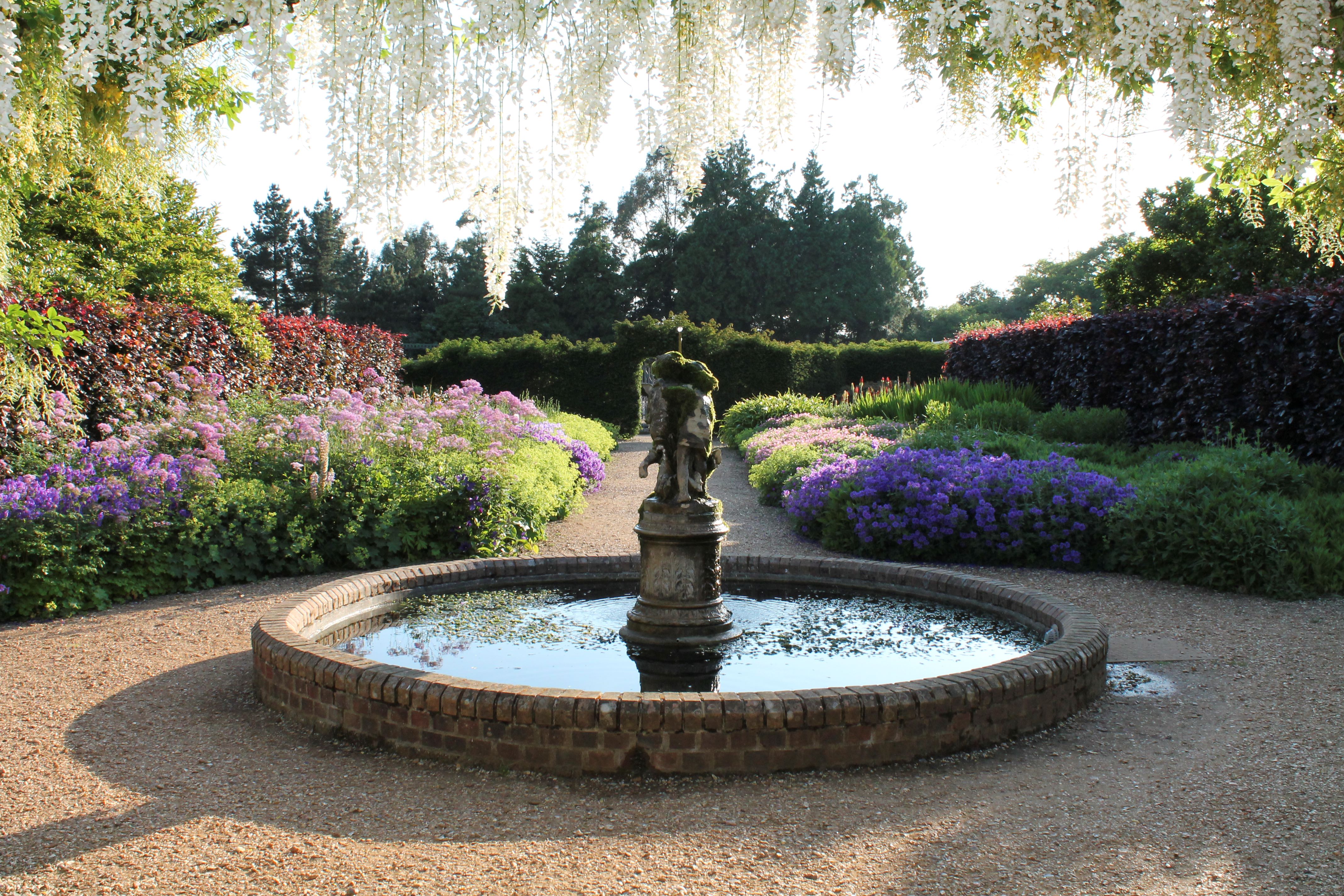 GG Wisteria Fountain 2013 1