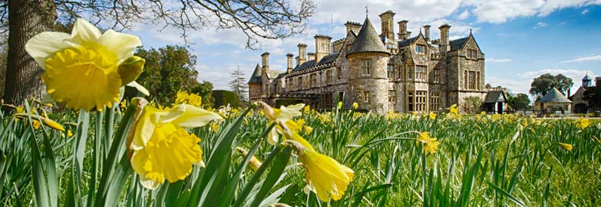 Desktop Thin Banner Palace House Exterior Daffodils 870X300
