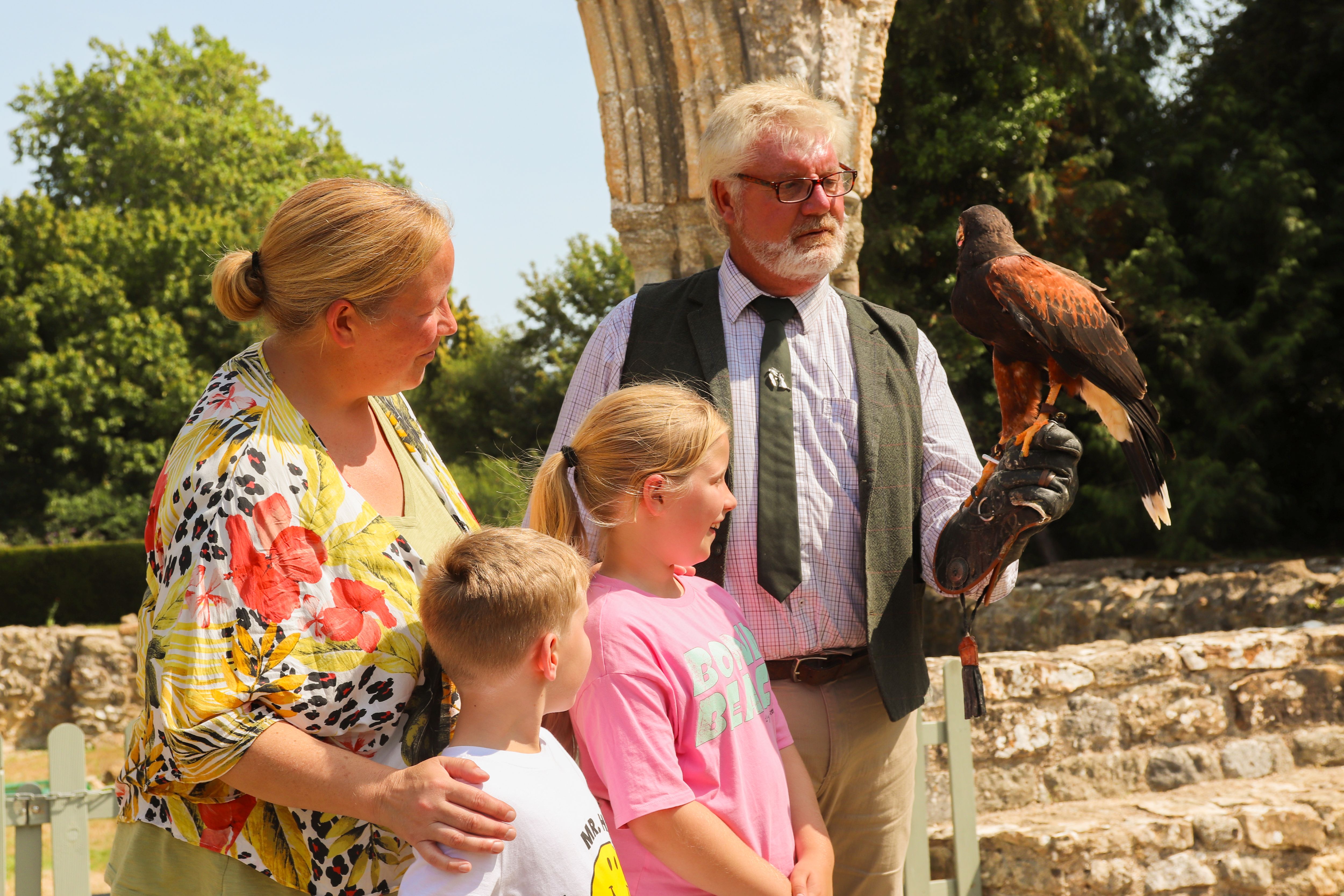 Falconry At Beaulieu This Summer