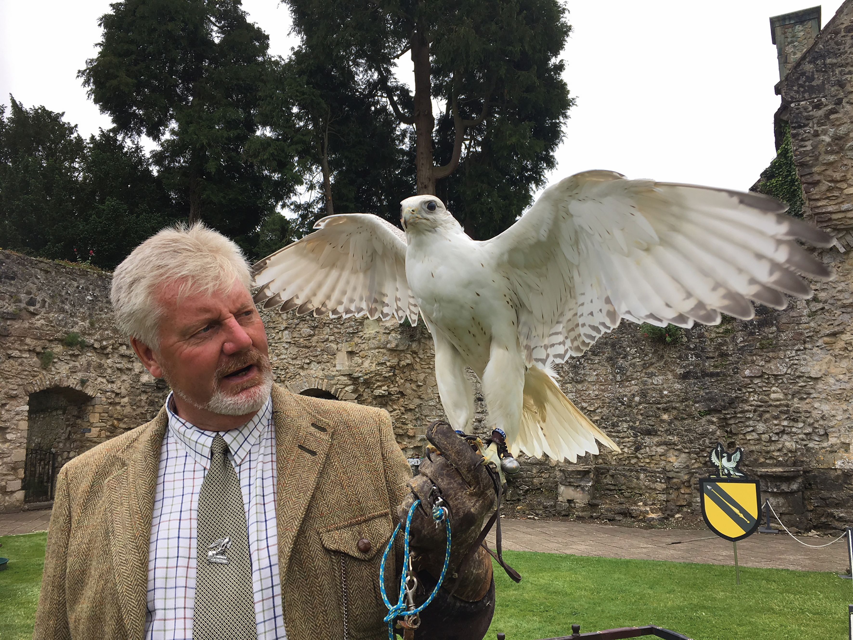 Falconry Paul Manning Gyr Falcon