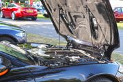 Simply Jaguar 5