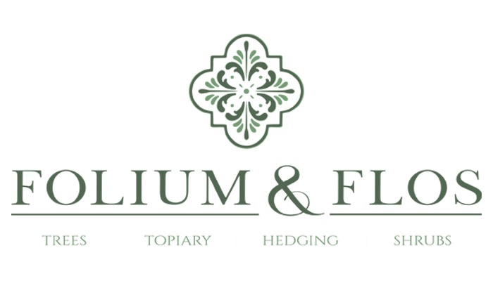 Folium Flos Logo (Main) Email Logo