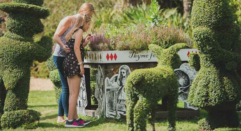 Desktop Attraction Grounds And Gardens W870px H475px 39 768X419