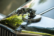 Simply Jaguar 5