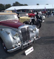 7Bonham
