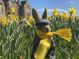 Easter Trail At Beaulieu