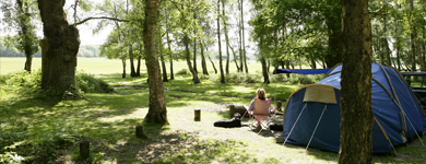 Desktop Didyouknow Camping 1 New Forest Destination Partnershipw390px H150px