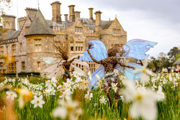 Desktop News Fairies And Dragons Sculpture Trail Beaulieu 1W870px H580px 600X400