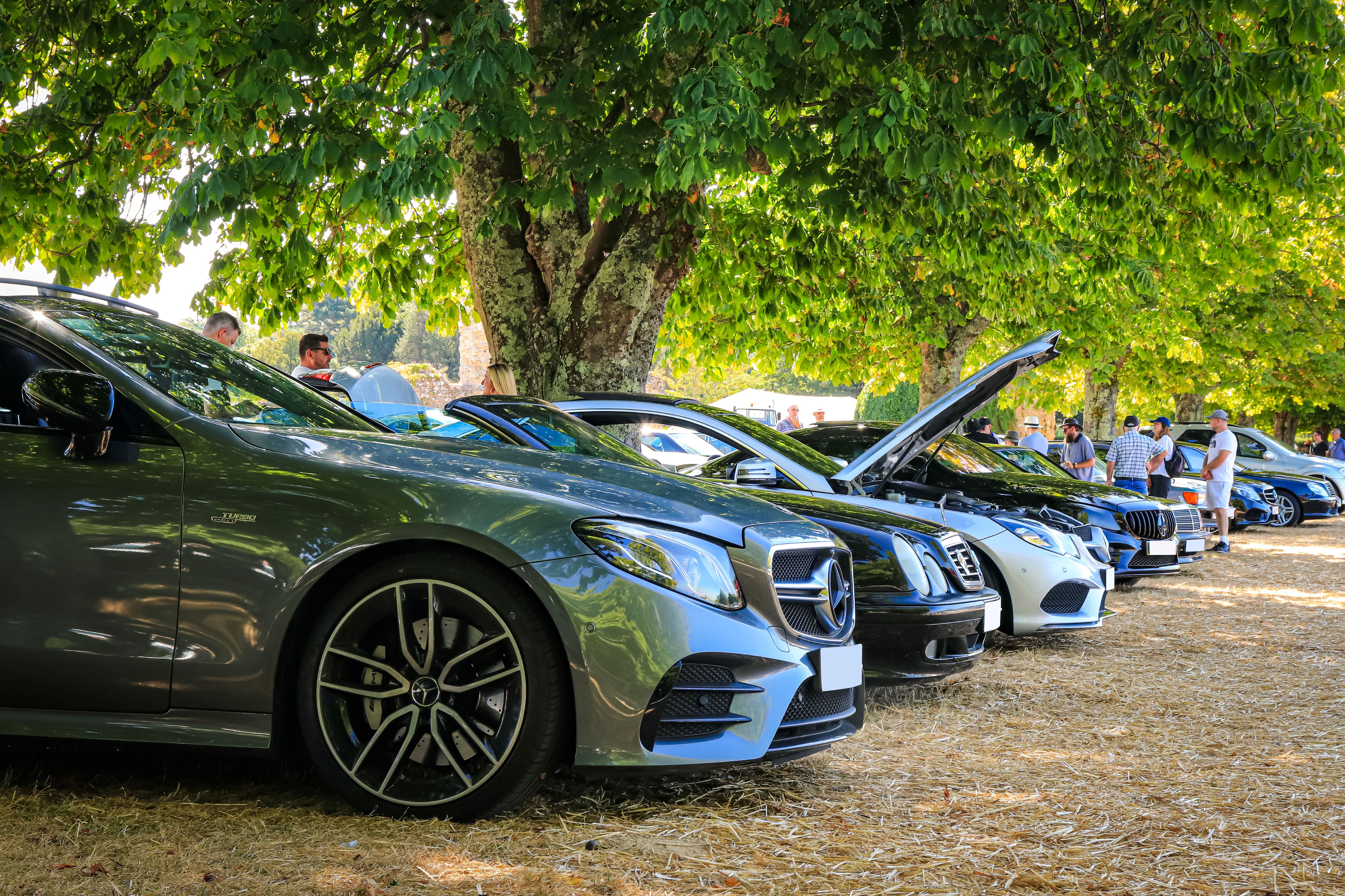 Simply Mercedes At Beaulieu