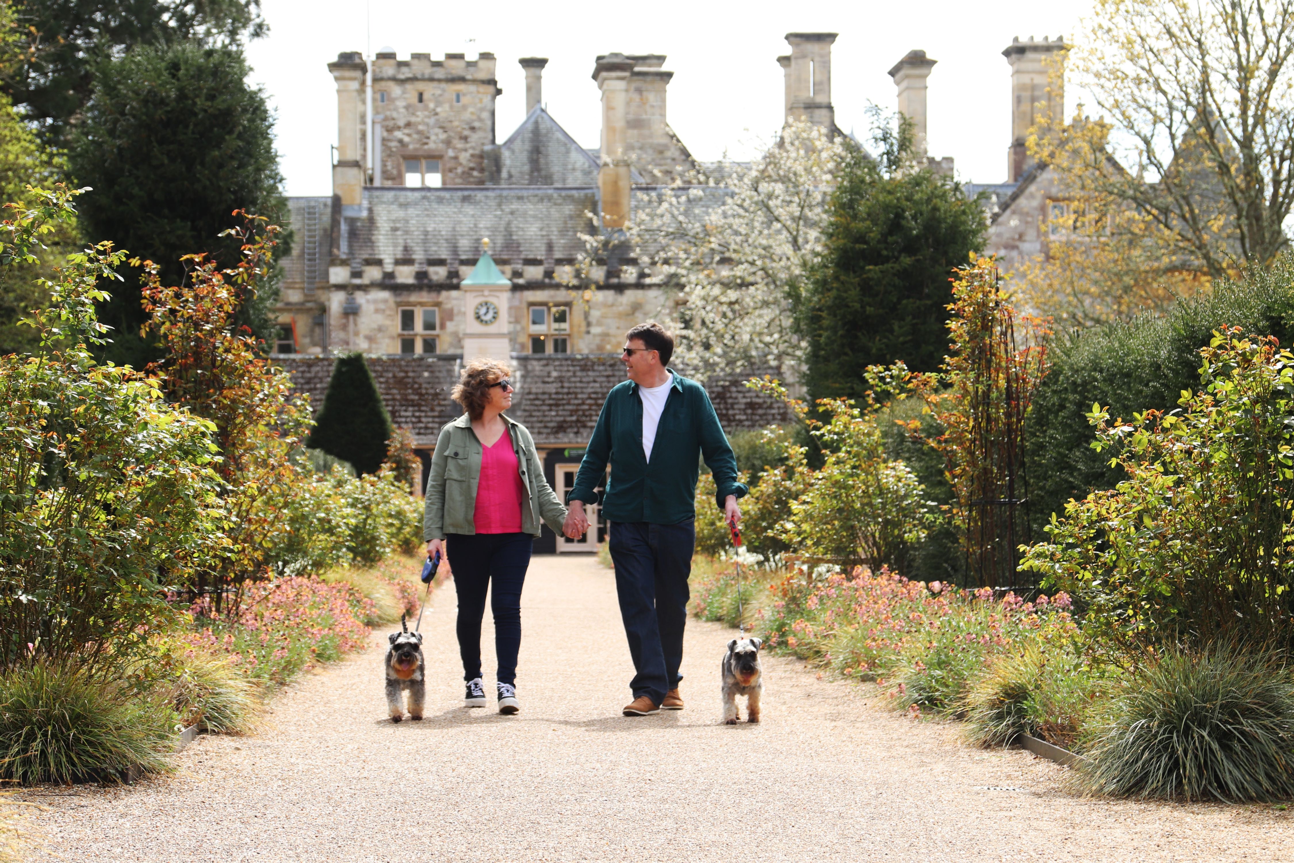 Dog Walking At Beaulieu