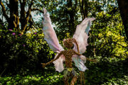 Fairy And Dragon Trailw870px H580px 600X400