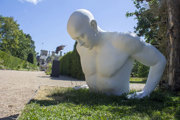 Metamorphoman By John Willi