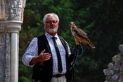 Falconerw870px H580px 600X400