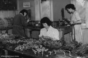 Desktop News Dorothee Pullinger Galloway Brochure 1921 870X573