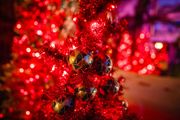 A Palace House Christmas (3)