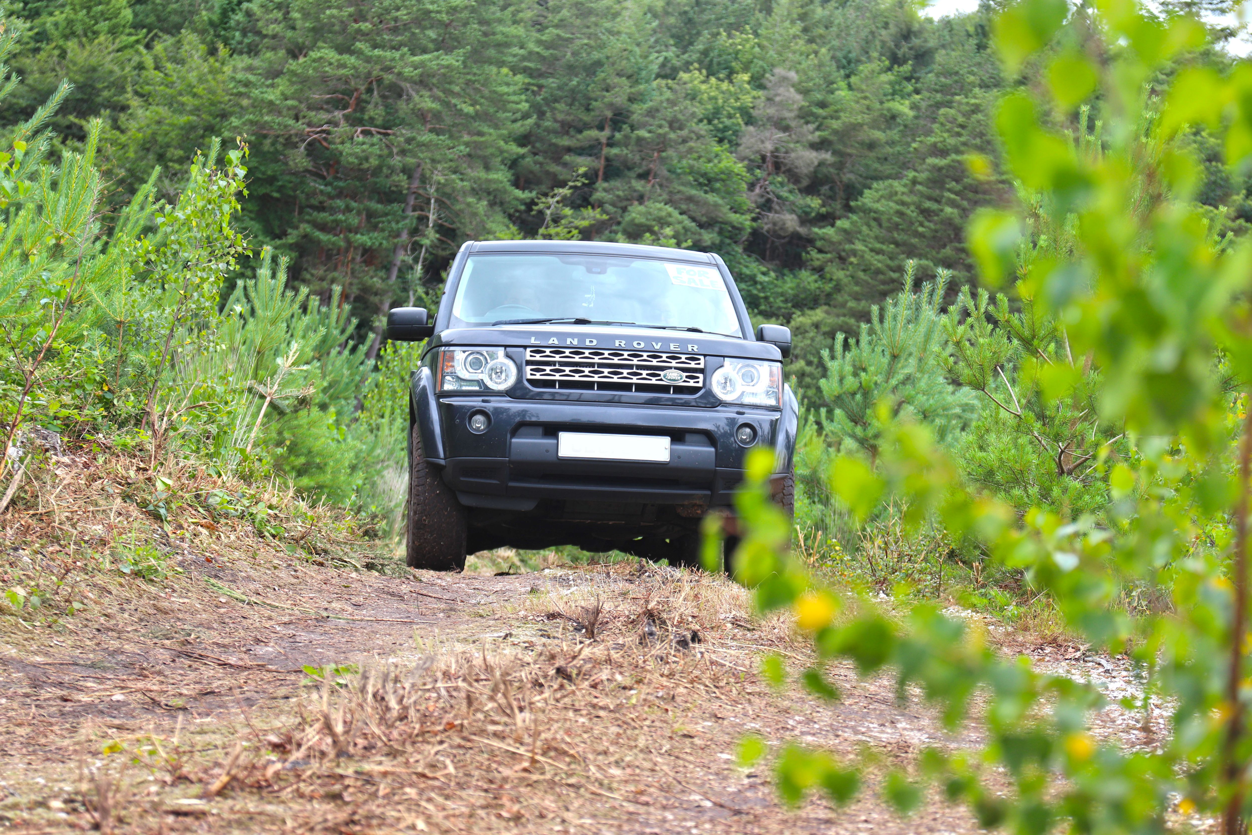 The Forest Drive At Simply Land Rover