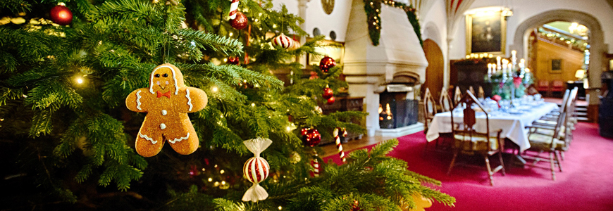 Desktop Thin Banner Christmas870x300