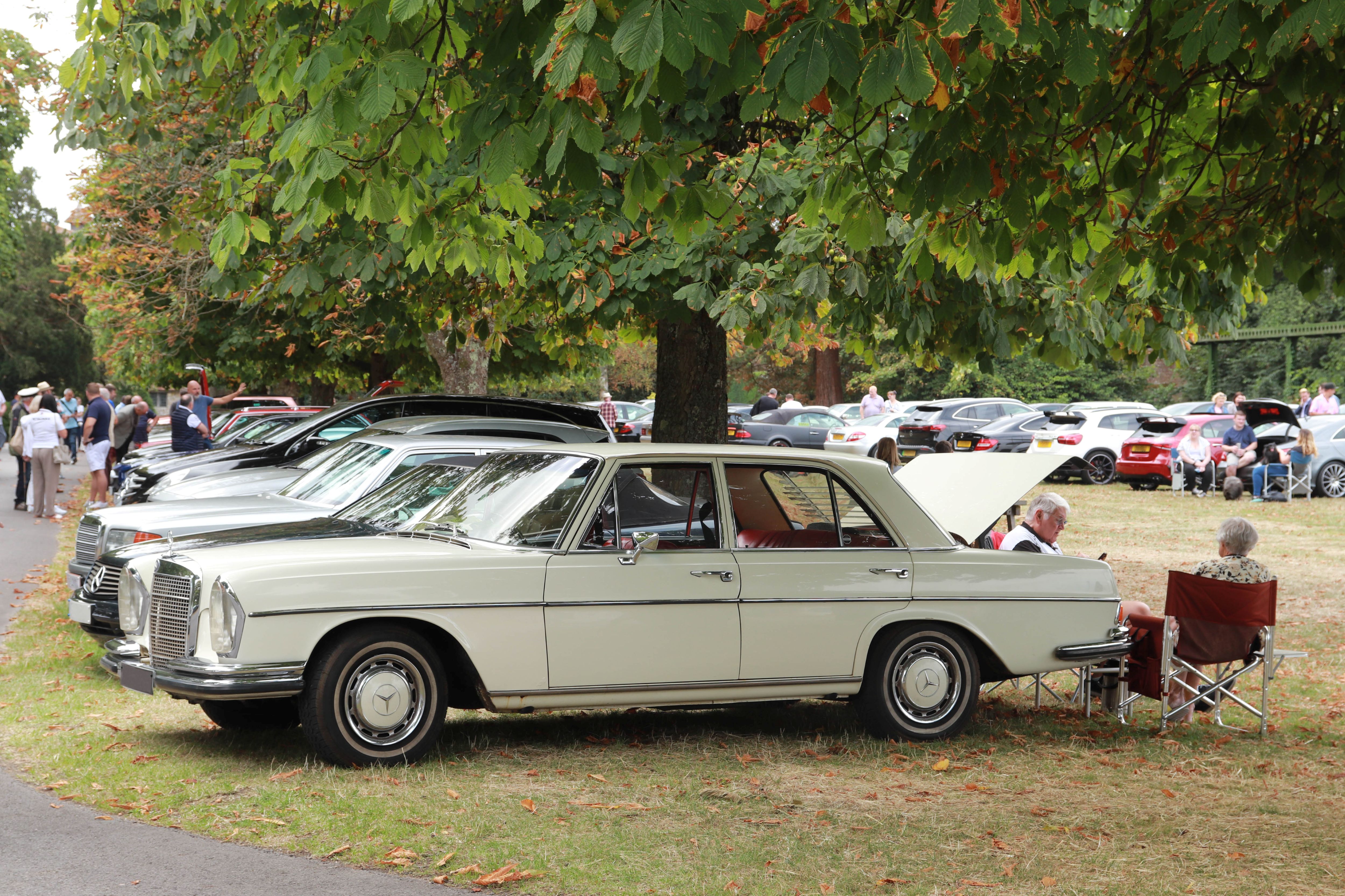 Simply Mercedes 6