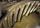 Auburn Pinion Gear Web