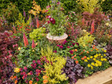 10Gardeners World Spring F