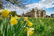 Desktop News Palace House In Spring 870X580