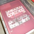 Sunbeam Blog 13