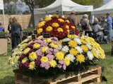 Gardeners World Spring Fair