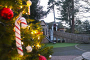 Little Beaulieu Dressed For Christmas870px 580Px 300X200