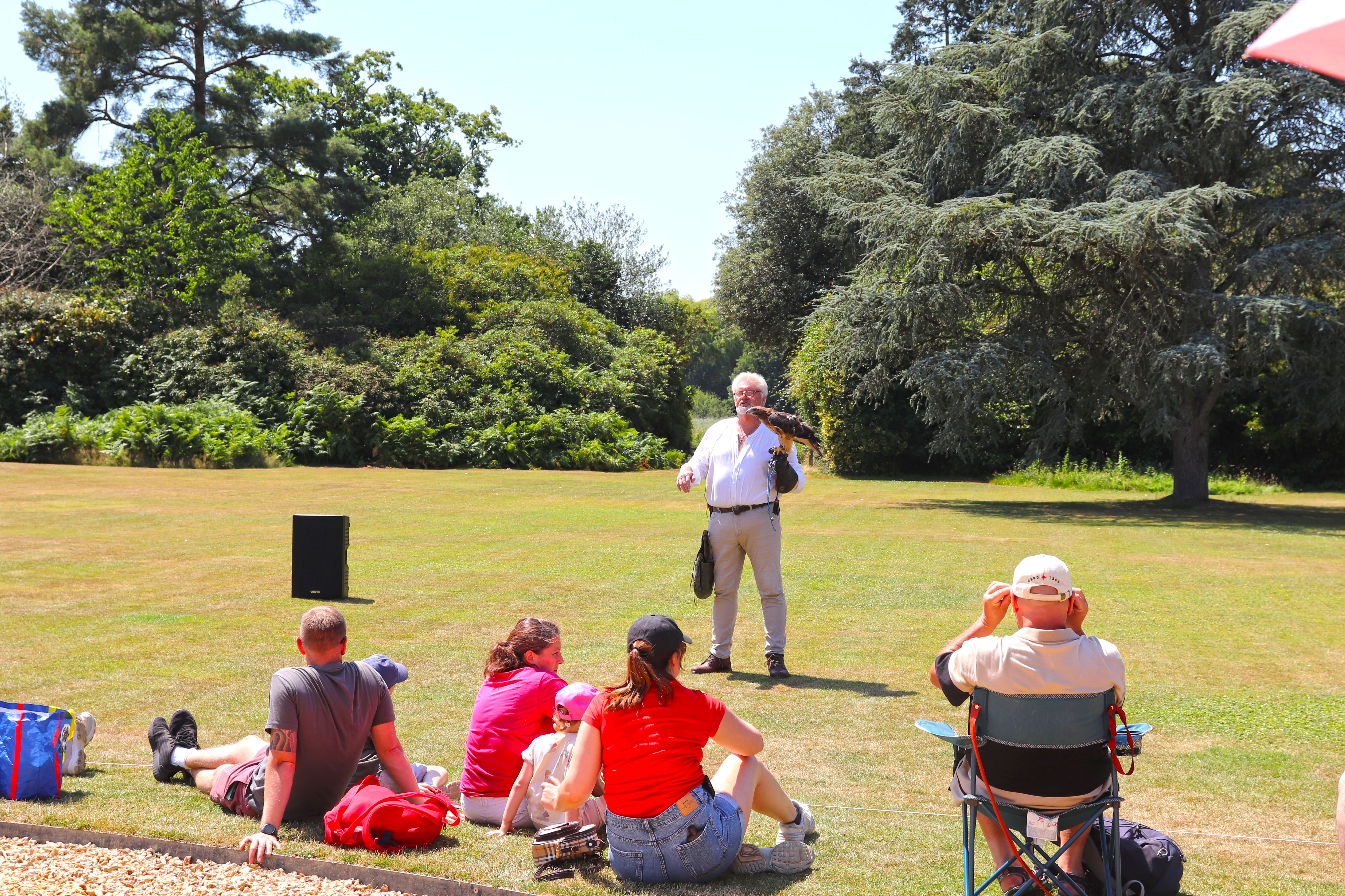 Falconry At The History Re Enactment Weekend (1)