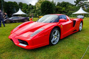 Enzo 600X400
