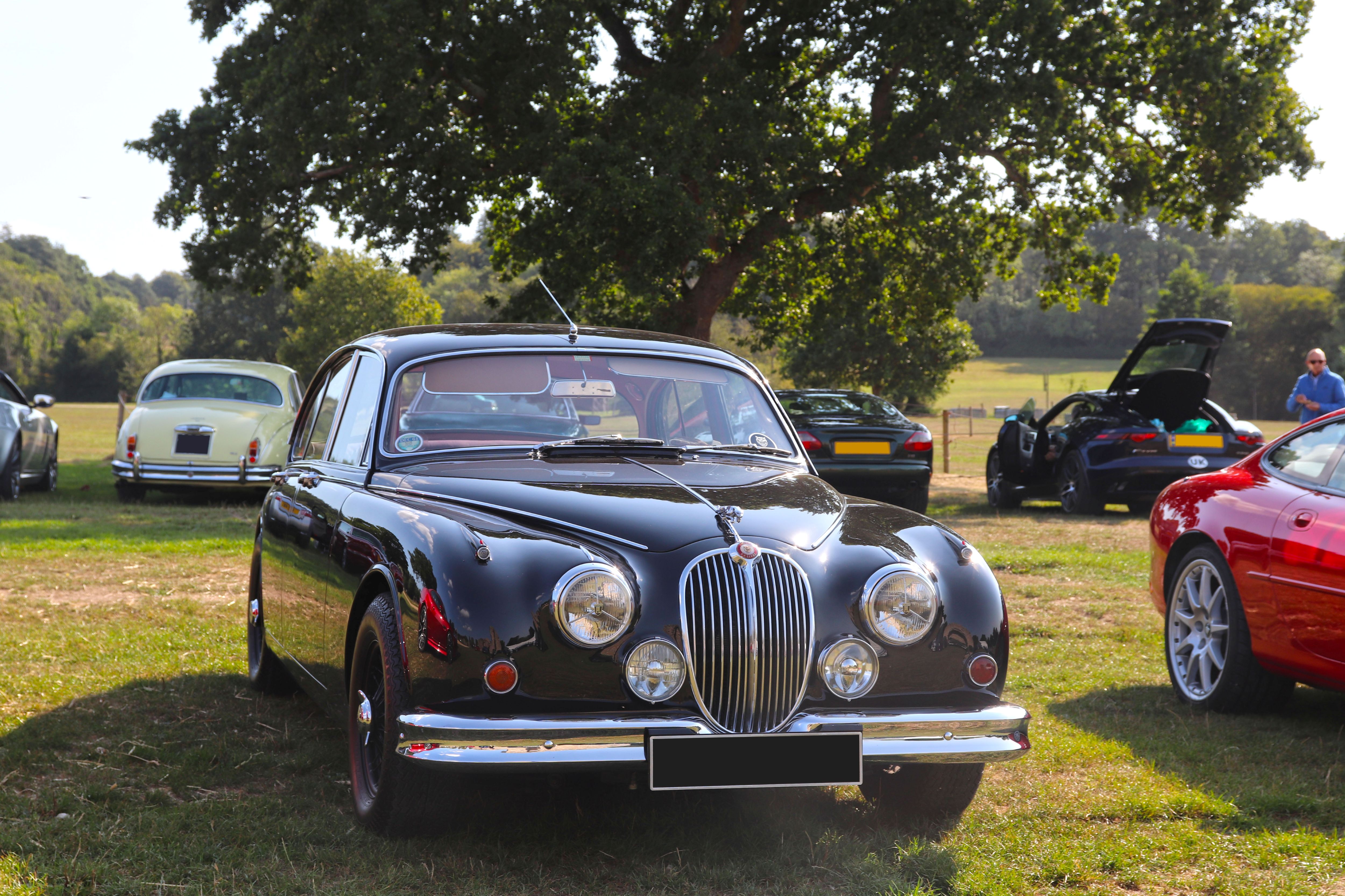 Jaguar on display at Beaulieu