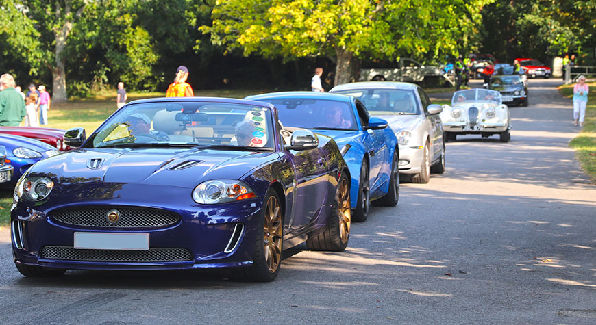 Jaguars entering Simply Jaguar