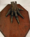 Desktop News Palace House Blog Mystery Claw
