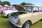 Minis On Display At National Mini Day