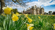 Desktop Attraction Event Easter 2024 Palace House Daffodilsw870px H475px