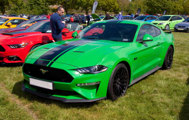 Simply Ford 5 1