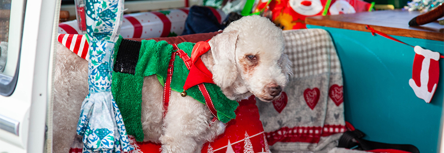 Desktop News Santa Run 870X300
