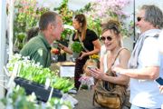 Plant Nurseries
