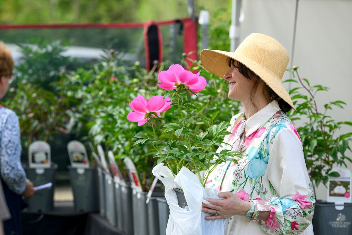 Shopping At Spring Fair