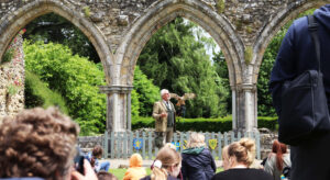 Falconry displays at Beaulieu 