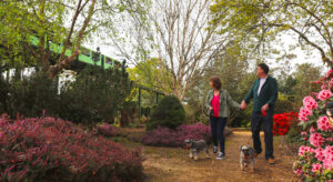 Visitors and their dogs in our grounds and gardens at Beaulieu