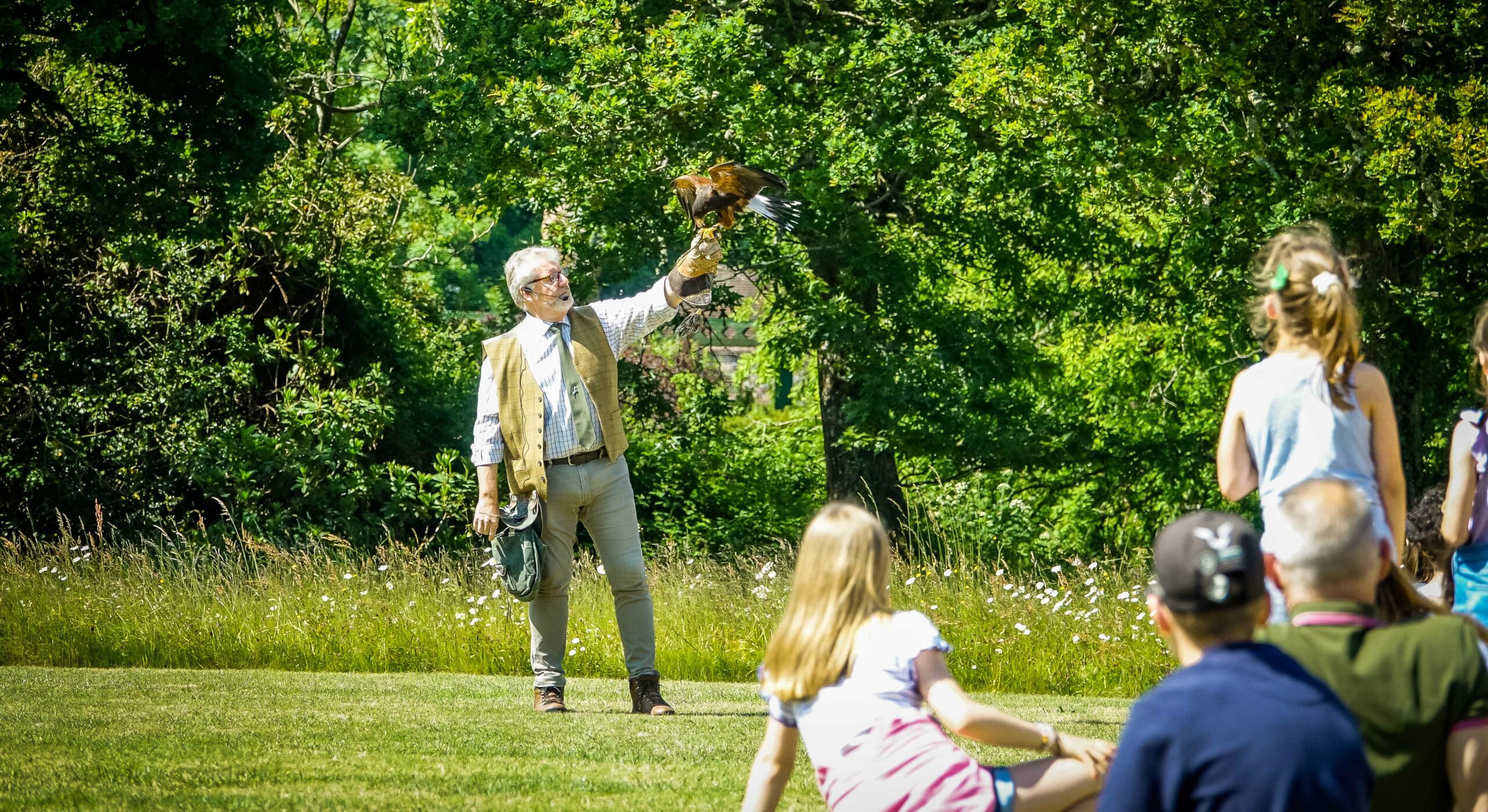 Watch falconry at Beaulieu this May half-term