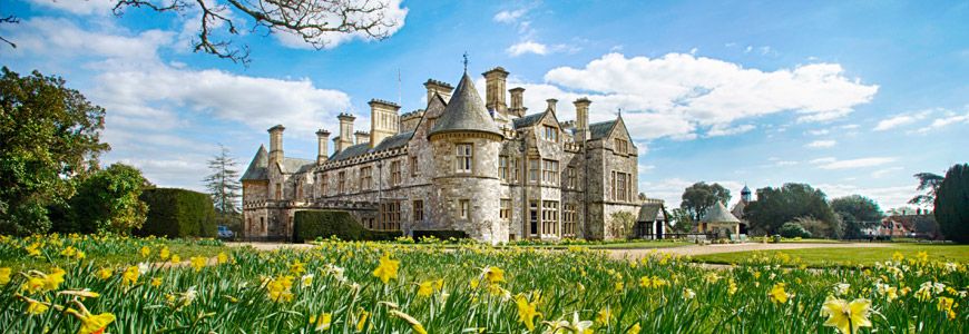 Daffodils surround Palace House